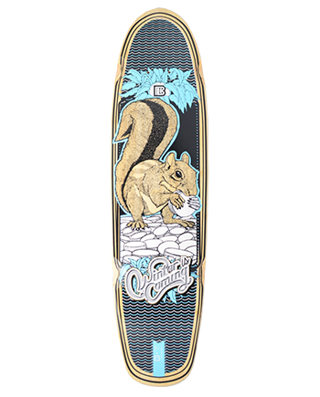 SQUIRREL CRUISER